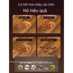 Thuốc diệt gián an toàn, hiệu quả nhanh chóng  9