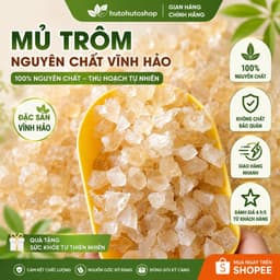 Mủ Trôm Vĩnh Hảo 1kg Hạt Lựu Lớn Nguyên Chất Tại Vườn Thanh Nhiệt Tại hutohutoshop 1