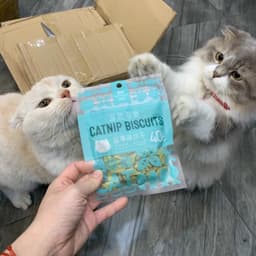 Bánh Thưởng Catnip Biscuits cho 40g hỗ trợ tiêu búi lông, sạch răng miệng - Méo Chò Uni 6