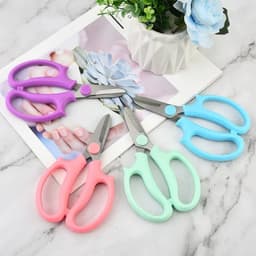 Bán sỉ 50 Kéo Mũi Bầu Cắt Tỉa Đa Năng - Phục vụ Cắm Hoa và Làm Vườn Chất Lượng Cao. 4