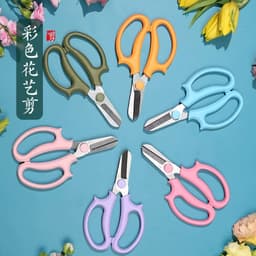 Bán sỉ 50 Kéo Mũi Bầu Cắt Tỉa Đa Năng - Phục vụ Cắm Hoa và Làm Vườn Chất Lượng Cao. 5