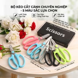 Bán sỉ 50 Kéo Mũi Bầu Cắt Tỉa Đa Năng - Phục vụ Cắm Hoa và Làm Vườn Chất Lượng Cao. 1