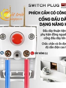 Phích cắm điện công tắc bật tắt - ĐẦU CẮM ĐIỆN 2 CHÂN Hạn chế tia lửa điện 2500W 10A NHỰA PC CHỊU NHIỆT 16
