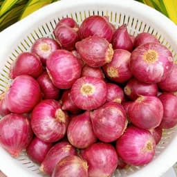 [Hỏa tốc HCM] Hành tím Khô Ấn Độ - Hành Tím Khô, Tươi Ngọt, Thơm Nồng - Gia Vị Cho Mọi Món Ăn 6