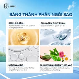Kem chống nắng cấp ẩm SPF50+ PA++++ RUÉE UV Waterful Essence Sun Cream 60ml - Chính hãng Hàn Quốc 2