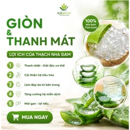 [Thùng 10 Túi] Thạch Nha Đam Aloka Giòn Thanh Mát Chế Biến Sẵn Túi - Nha Đam Ăn Liền Topping Trà Sữa , dokhogiasi 2