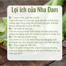[Thùng 10 Túi] Thạch Nha Đam Aloka Giòn Thanh Mát Chế Biến Sẵn Túi - Nha Đam Ăn Liền Topping Trà Sữa , dokhogiasi 7