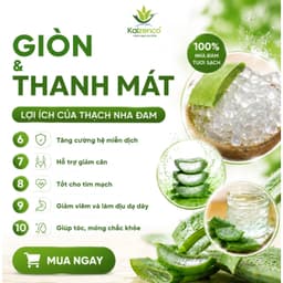 [Thùng 10 Túi] Thạch Nha Đam Aloka Giòn Thanh Mát Chế Biến Sẵn Túi - Nha Đam Ăn Liền Topping Trà Sữa , dokhogiasi 3