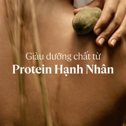 Kem Dưỡng Thể Hạnh Nhân L'Occitane Almond Body Cream 200ml 8