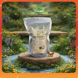 BỘT MẦM ĐẬU NÀNH NGUYÊN CHẤT MẸ KEN 500gr 3