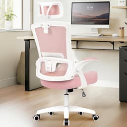 Ghế văn phòng thiết kế công thái học/HP-5004M-B-14/Hoàng Phú Furniture 2