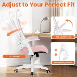 Ghế văn phòng thiết kế công thái học/HP-5004M-B-14/Hoàng Phú Furniture 4
