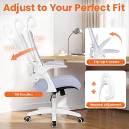 Ghế văn phòng thiết kế công thái học/HP-5004M-B-5/Hoàng Phú Furniture 6
