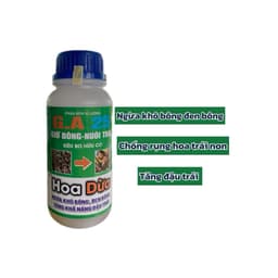 HOA DỪA NGỪA KHÔ BÔNG, ĐEN BÔNG, TẶNG ĐẬU TRÁI CHỐNG RỤNG TRÁI NON TRÊN DỪA CHAI 500ML 1