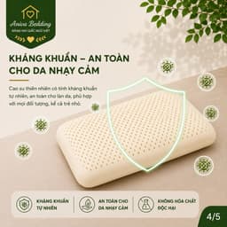 Gối Cao Su Thiên Nhiên Oval Aniva Bedding 45x65cm Chính Hãng Đàn Hồi Tốt Thoáng Khí Kháng Khuẩn 4