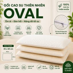 Gối Cao Su Thiên Nhiên Oval Aniva Bedding 45x65cm Chính Hãng Đàn Hồi Tốt Thoáng Khí Kháng Khuẩn 5