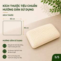 Gối Cao Su Thiên Nhiên Oval Aniva Bedding 45x65cm Chính Hãng Đàn Hồi Tốt Thoáng Khí Kháng Khuẩn 6