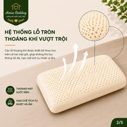 Gối Cao Su Thiên Nhiên Oval Aniva Bedding 45x65cm Chính Hãng Đàn Hồi Tốt Thoáng Khí Kháng Khuẩn 2