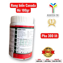 Seaweed 95% Rong biển Canada hủ 100gr của Boly, 1 hủ pha 300 lít nước 3