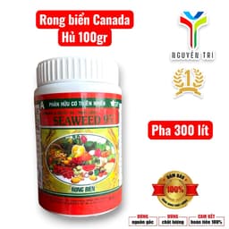 Seaweed 95% Rong biển Canada hủ 100gr của Boly, 1 hủ pha 300 lít nước 1