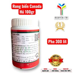 Seaweed 95% Rong biển Canada hủ 100gr của Boly, 1 hủ pha 300 lít nước 4