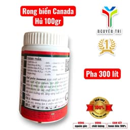 Seaweed 95% Rong biển Canada hủ 100gr của Boly, 1 hủ pha 300 lít nước 5