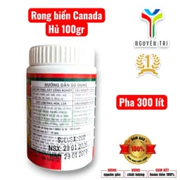 Seaweed 95% Rong biển Canada hủ 100gr của Boly, 1 hủ pha 300 lít nước 2