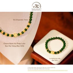 Ngọc Đan Tâm - Bộ Trang Sức Đá Diopside Phối Charm Lu Thống Kim Tiền 2