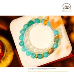Ngọc Đan Tâm - Vòng Tay Amazonite 10mm 5A Phối Charm Tam Thánh Pháp Luân 4