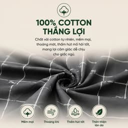 Bộ Chăn Ga Gối Cotton Thắng Lợi 5 Món Aniva Bedding Chính Hãng | Size 1m6, 1m8 | Cotton Thoáng Mát 2