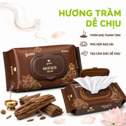Set 2 Gói Khăn Ướt Bao Sái Lau Bàn Thờ Hương Trầm GD91 - Khăn Uớt Lau Đồ Thờ Hương Trầm Thơm Dịu 4