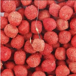 Combo 3Chai Mồi Hạt Siêu Tốc Chống Móm Cho Anh/Em Fishing 2