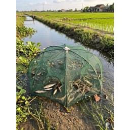Combo 5 Lồng Bát Quái Đặt Cua/Cá/Tép…vv lồng có 6 cửa và 8 cửa 1