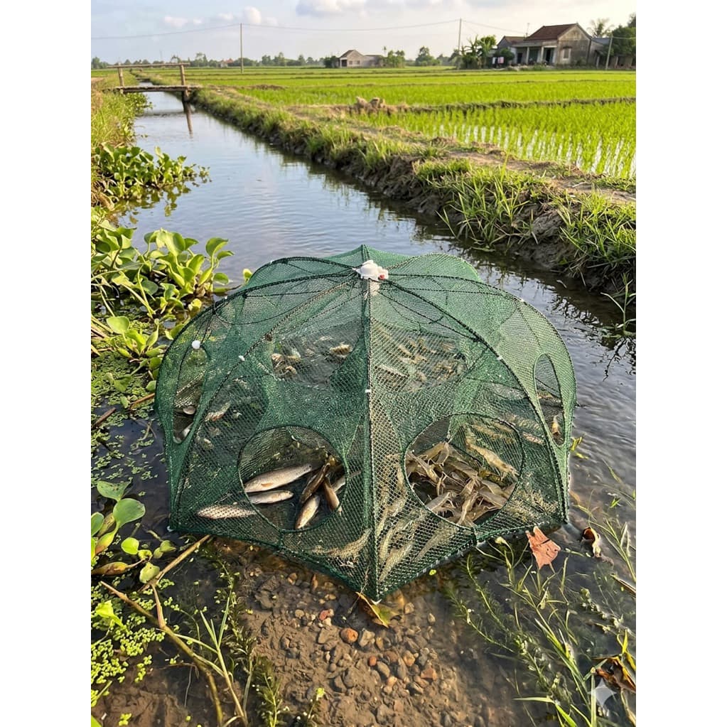Combo 5 Lồng Bát Quái Đặt Cua/Cá/Tép…vv lồng có 6 cửa và 8 cửa