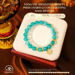 Ngọc Đan Tâm - Vòng Tay Amazonite 9mm 5A Phối Charm Mặt Dây Chuyền 12 Con Giáp Vòng Xoay Đính Đá 1