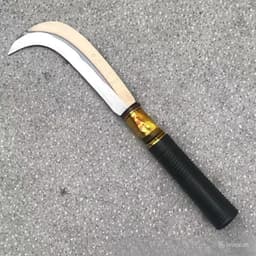 Dao Rửa Dừa 3 Tấc Đa Dụng Chất Liệu Thép Không Gỉ Cao Cấp Sắc Bén Siêu Bền Hiệu Quả Cao Hàng Nhập Khẩu Chính Hãng 2