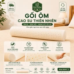 Gối Ôm Cao Su Thiên Nhiên Aniva Bedding 20x100cm - Latex 100% Tự Nhiên, Đàn Hồi Cao, Thoáng Khí, Không Xẹp Lún 3