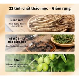 sap Dầu Gội Mọc Tóc, Tẩy Tế Bào Chết, Dưỡng Ẩm Da Đầu, Thảo Dược Tự Nhiên, Chính Hãng 4