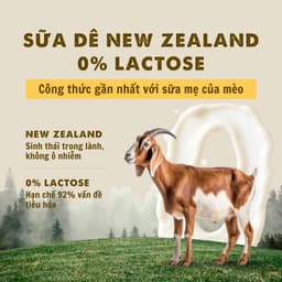 [COMBO 48 GÓI TIẾT KIỆM] Pate Sữa Dê Bite Of Wild 70g Cho Mèo Bổ Sung Dinh Dưỡng-Méo Chò Uni 9