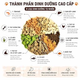 Hạt Gemlucky Thức ăn hạt cao cấp dành cho mèo mọi lứa tuổi Mix 8 Toping 2