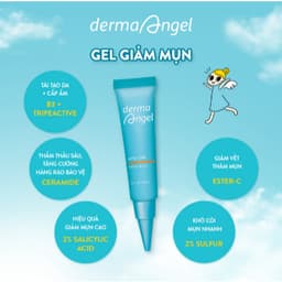 Gel Chấm Mụn Derma Angel Acne Care Intensive 10g 2