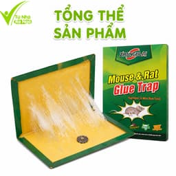 Bẫy Dính Chuột Keo Siêu Dính Cao Cấp Carton Cứng GD214 - Bẫy Keo Dính Chuột Gấp Gọn Không Độc Hại 2