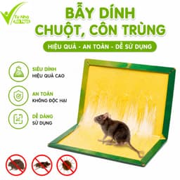 Bẫy Dính Chuột Keo Siêu Dính Cao Cấp Carton Cứng GD214 - Bẫy Keo Dính Chuột Gấp Gọn Không Độc Hại 3