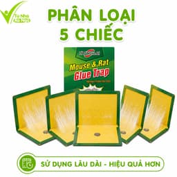 Bẫy Dính Chuột Keo Siêu Dính Cao Cấp Carton Cứng GD214 - Bẫy Keo Dính Chuột Gấp Gọn Không Độc Hại 9