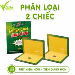 Bẫy Dính Chuột Keo Siêu Dính Cao Cấp Carton Cứng GD214 - Bẫy Keo Dính Chuột Gấp Gọn Không Độc Hại 8