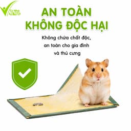 Bẫy Dính Chuột Keo Siêu Dính Cao Cấp Carton Cứng GD214 - Bẫy Keo Dính Chuột Gấp Gọn Không Độc Hại 4
