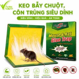Bẫy Dính Chuột Keo Siêu Dính Cao Cấp Carton Cứng GD214 - Bẫy Keo Dính Chuột Gấp Gọn Không Độc Hại 1