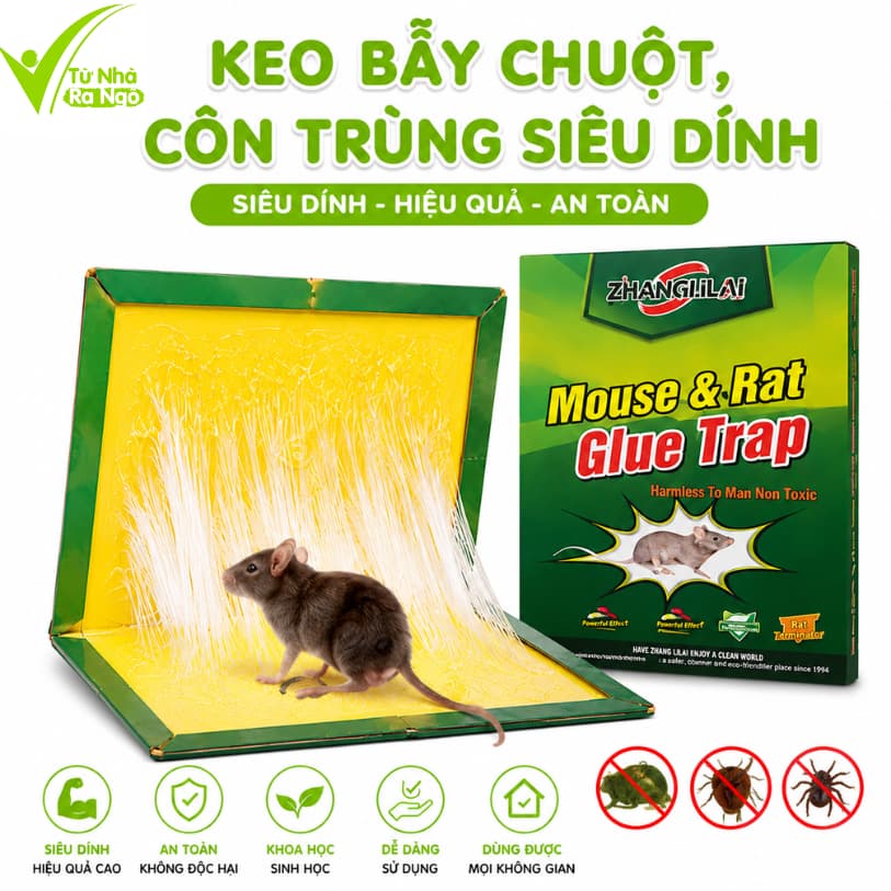 Bẫy Dính Chuột Keo Siêu Dính Cao Cấp Carton Cứng GD214 - Bẫy Keo Dính Chuột Gấp Gọn Không Độc Hại