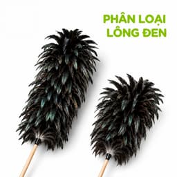 Chổi Lông Gà Tự Nhiên Cán Gỗ Phủi Bụi Bàn Ghế GD218 - Chổi Phủi Bụi Lông Gà Tự Nhiên Cán Gỗ 8