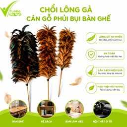 Chổi Lông Gà Tự Nhiên Cán Gỗ Phủi Bụi Bàn Ghế GD218 - Chổi Phủi Bụi Lông Gà Tự Nhiên Cán Gỗ 1